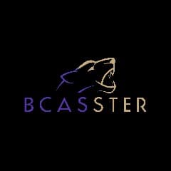 bCasster55