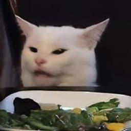 NaaggibatoRr