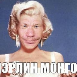 POP_scvirtle