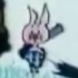 Sinoplox