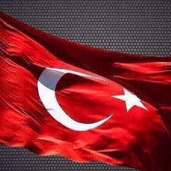 omer49532