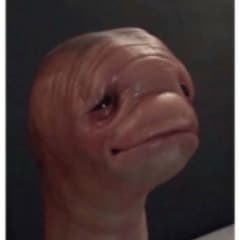 aeseldyr