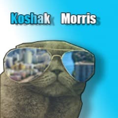 KaShaK_FeLIx