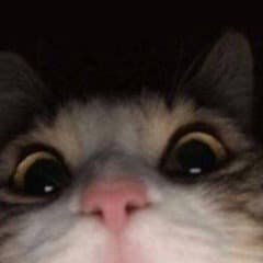 F1L1PP1