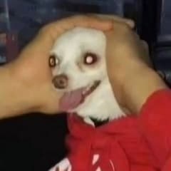 1TRAHUAR1