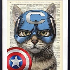 CATJOE