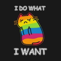 rainbowcat98