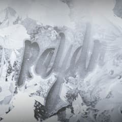 RaydnX