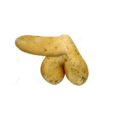 BaTaTa2004
