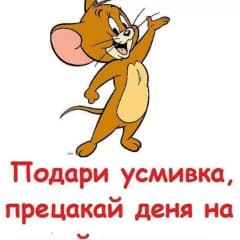cecoqk