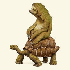 Tawiturtle