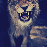 Fadeu72