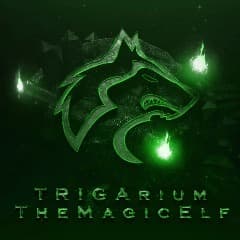 TheMagicElf
