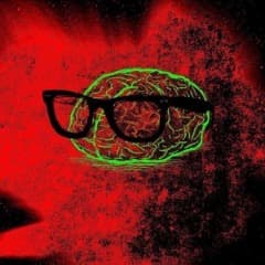 BrainDamag3