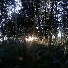 gramm_mvm