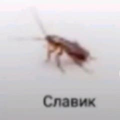 61XTEENBEATS
