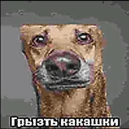 pro100noob52