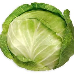 COCOCOSINI