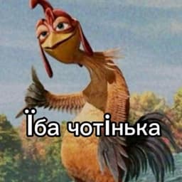 -rrefpp