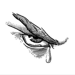 MatteoDenaro