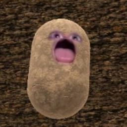 ImDynam0
