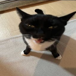 dwqeqweqe