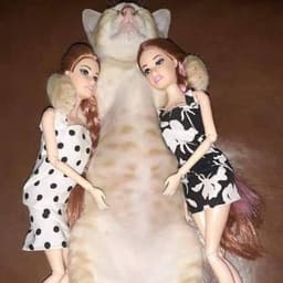 micholobnut