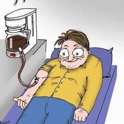 Kaffeekaa