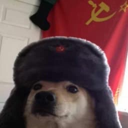 Z3R0L1