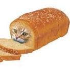 bread85