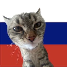 sooqafrukt