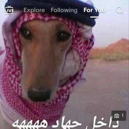 GaddafisDog