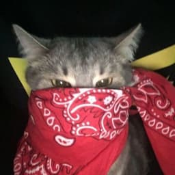 N1CKN4M3_