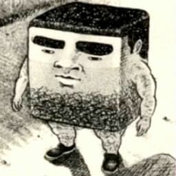 P_i_Ra_t