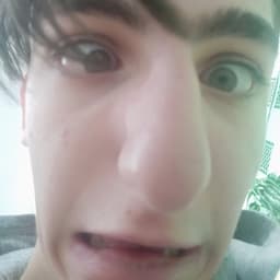 EchoSOLD