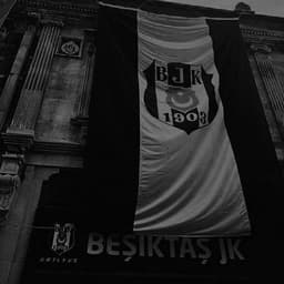 NefeSsS