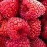 rasp1berry