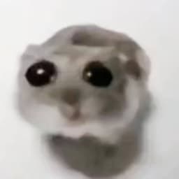 Sarsen_n