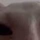 ARandomPig