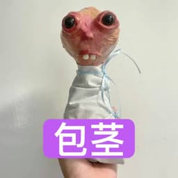 FimoZ_2018