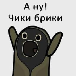 WSZDFQ