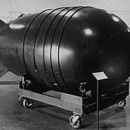 beaver199