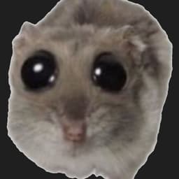 891437092