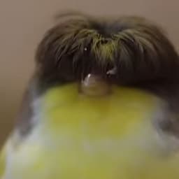 Warmzy