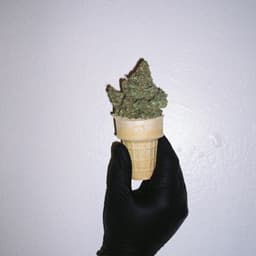 callmesma1l