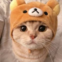 twichSadface
