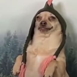 pl0wze