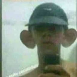 gajsin_