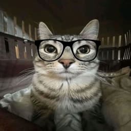 Matbro_x