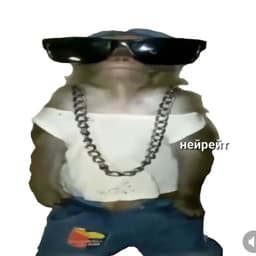 Dimooon0